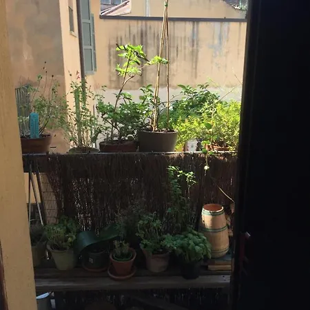 Appartement Bilocale In Centro Storico Crémone