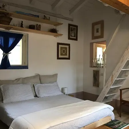 Appartement Bilocale In Centro Storico Crémone